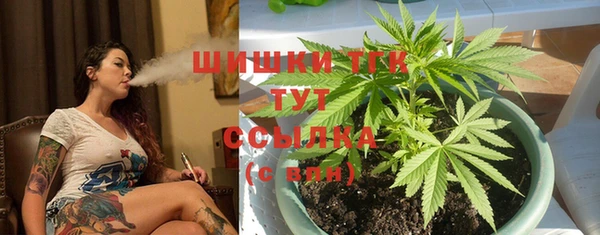 бошки Алзамай