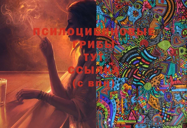 бошки Алзамай