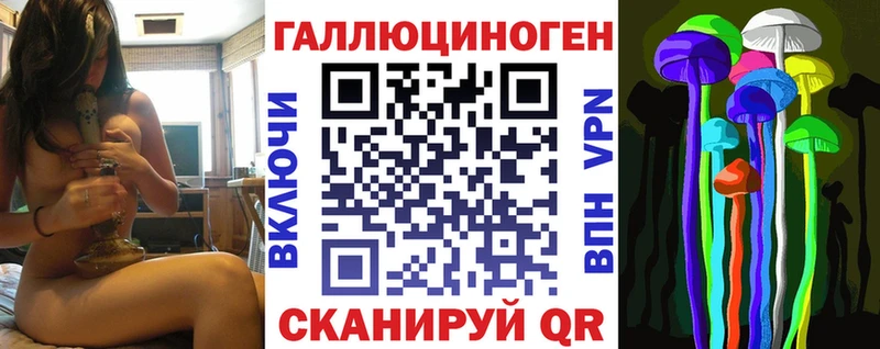OMG tor  Углич  Псилоцибиновые грибы мухоморы 